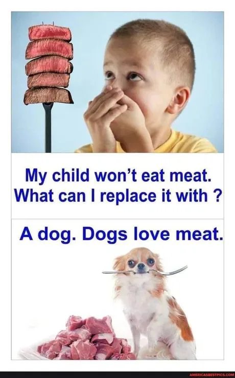 Doge-agrees.jpg